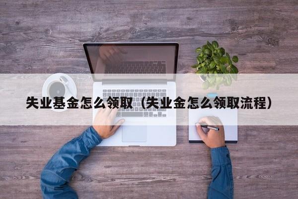 失业基金怎么领取（失业金怎么领取流程）