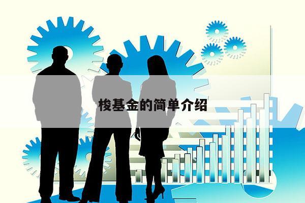 梭基金的简单介绍